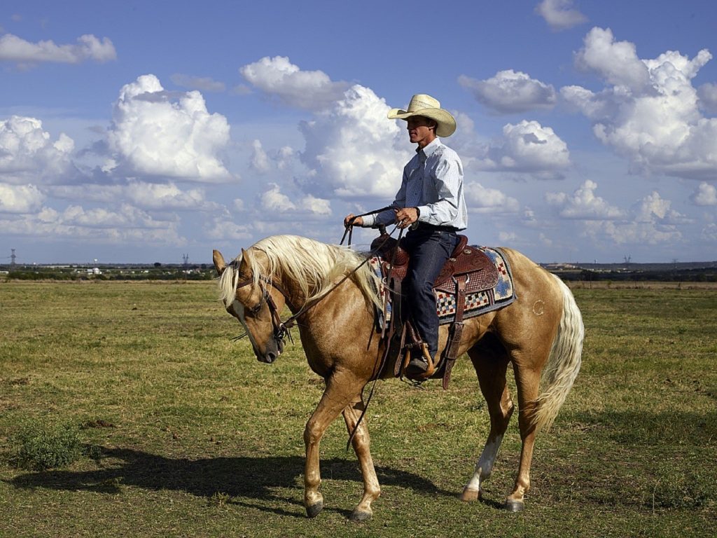 Le weekend à cheval du cowboy - La ferme du Joual Vair.