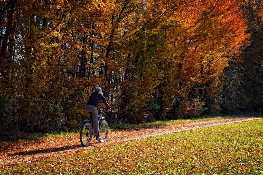 Pistes cyclables à l'automne