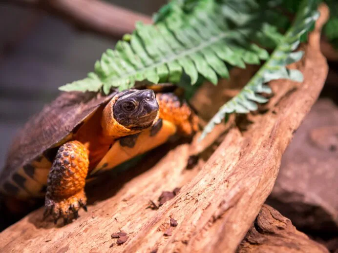centre-de-la-biodiversite-7174-scaled