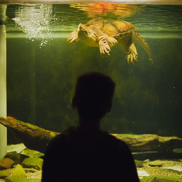 Musée de la Biodiversité du Québec