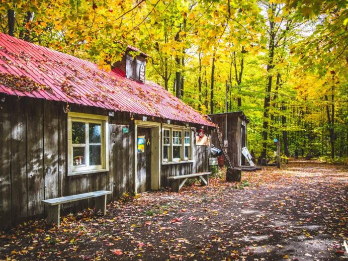 cabane
