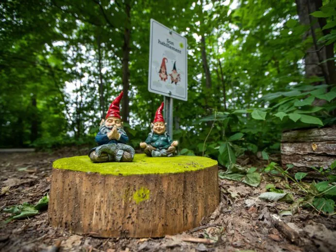 parc-des-gnomes-4075-scaled