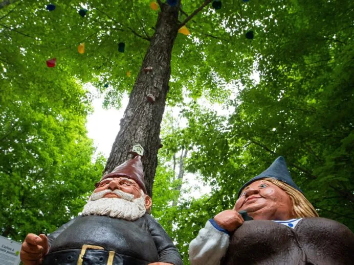 parc-des-gnomes-4087-scaled