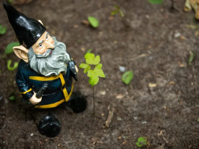 parc-des-gnomes-4134-scaled