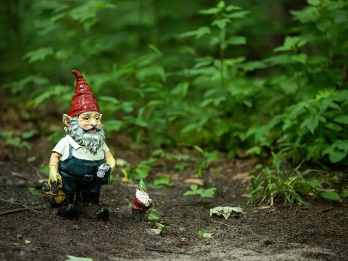 parc-des-gnomes-4137-scaled