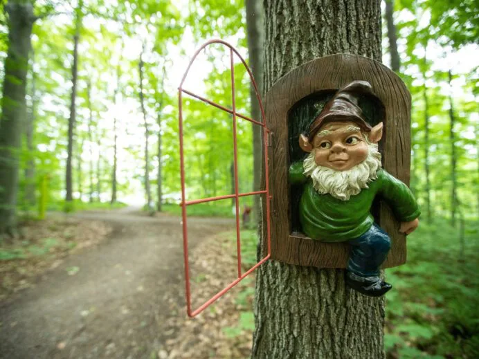 parc-des-gnomes-4165-scaled