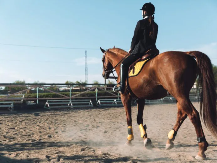 amazing-young-cowgirl-sitting-on-horse-outdoors-ppmwsjv-scaled