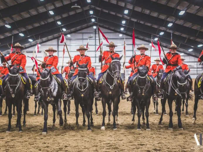 cavalerie