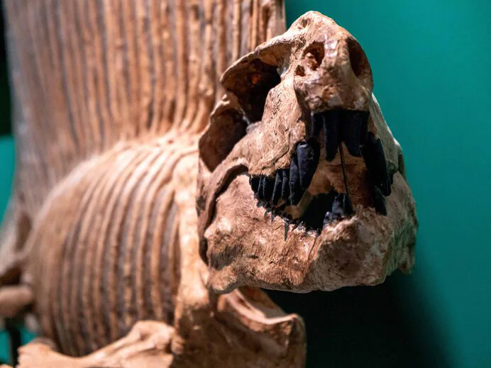 556951387_1237874608385106_51818290488413883_n