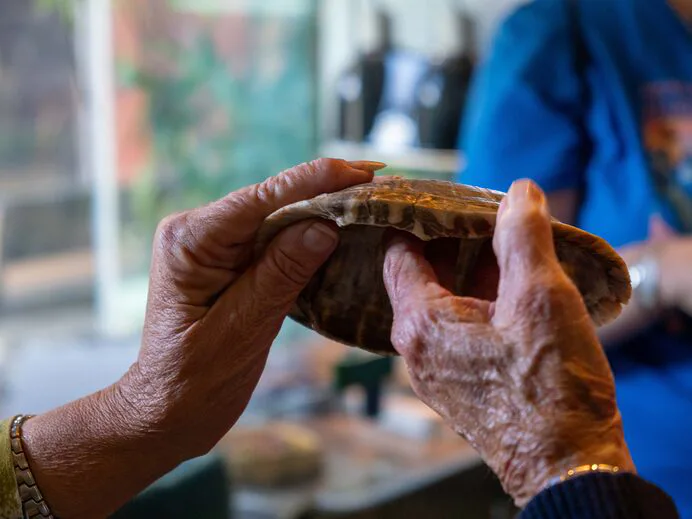 557646931_1237874115051822_1486900167095988395_n