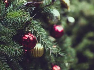 La parfaite liste d’achats du Père Noël