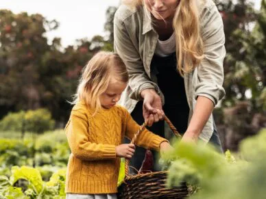 Les meilleures destinations d’agrotourisme à Bécancour en 2022