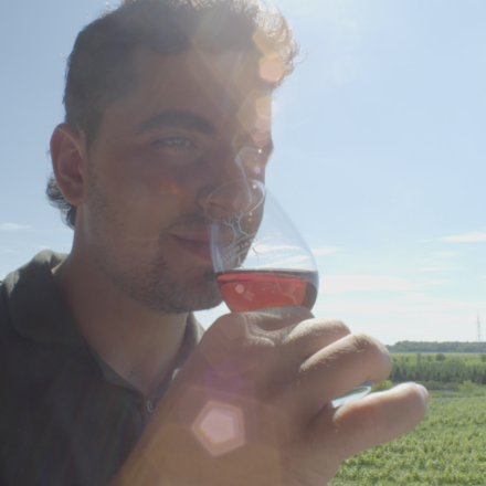 vignoble3