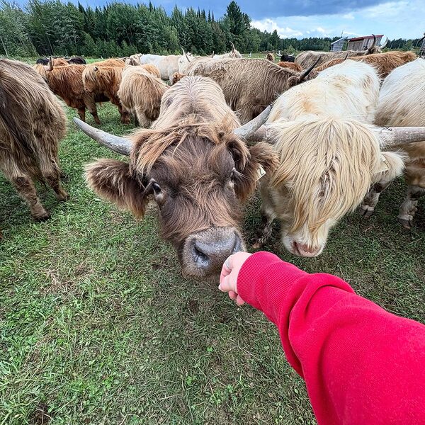 Ferme La