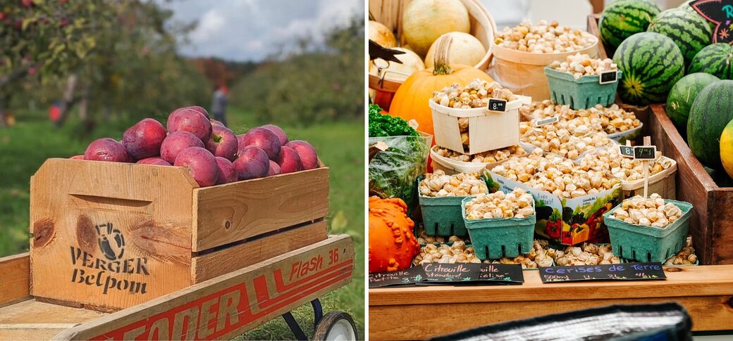 Marche et recoltes d’automne