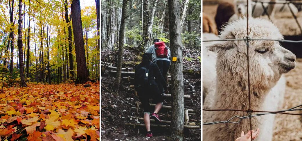sorties plein air automne becancour