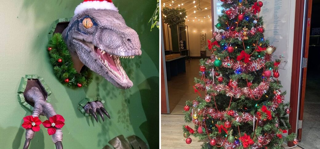 lutins de noel au musee de la biodiversite