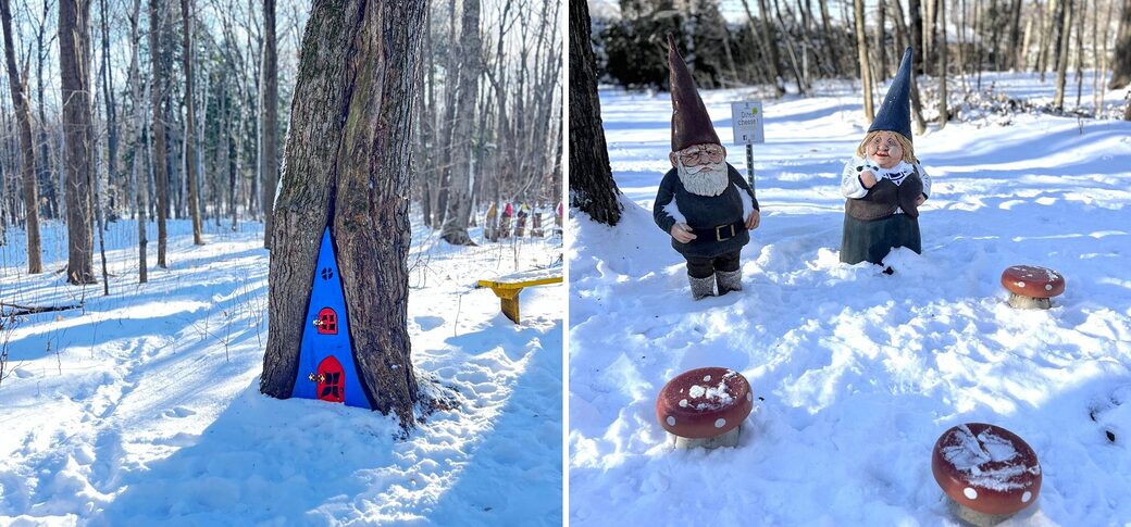 marche et raquette parc ecologique godefroy