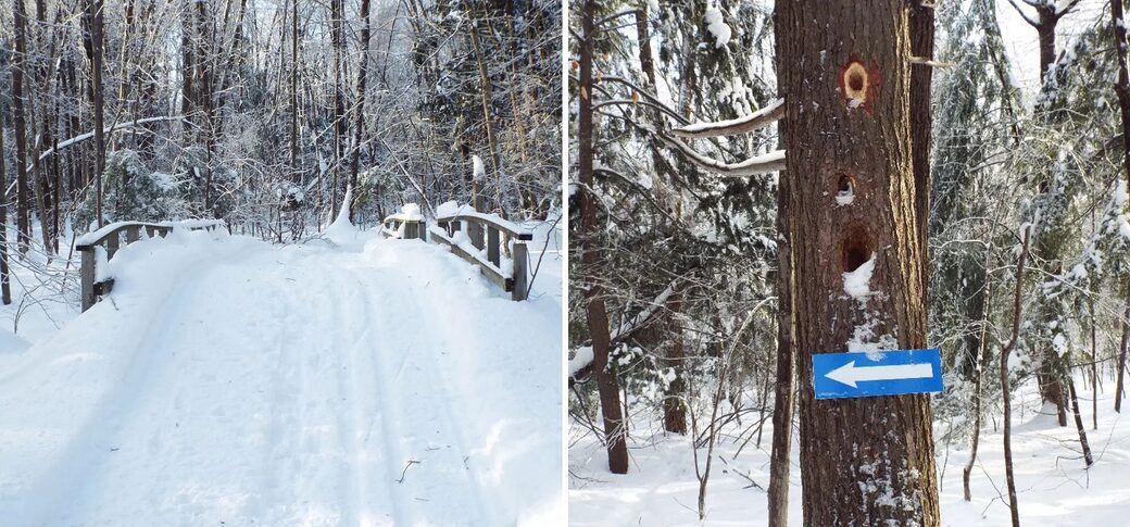 sentiers de marche musee de la biodiversite becancour