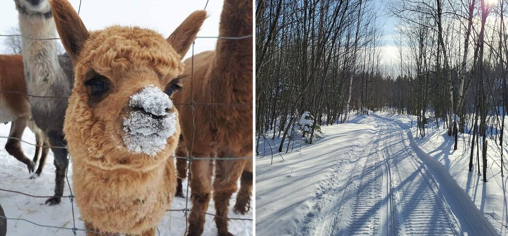 visite hivernale ferme s&c