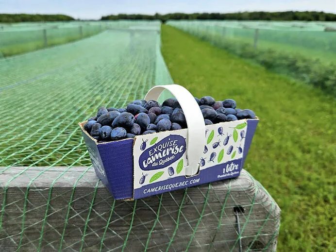 353006452_242049551864335_6688120739614192414_n